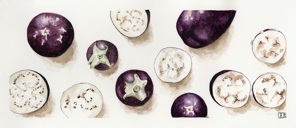 Veggie Strips Brinjals Watercolour on Fabriano