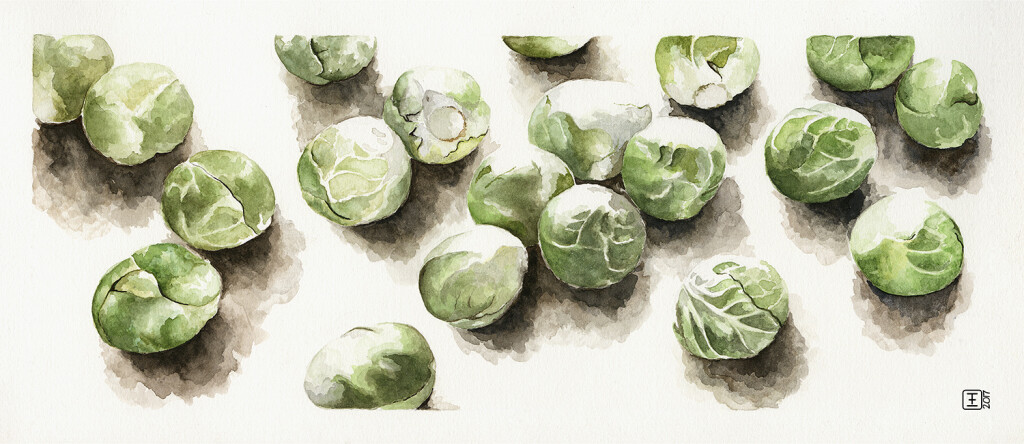 Veggie Strips Brussels Sprouts Watercolour on Fabriano