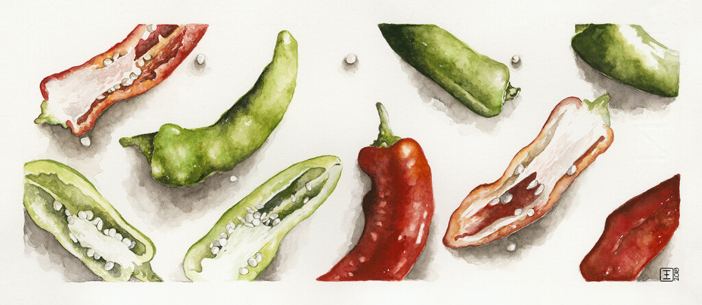 Veggie Strips Chillies Watercolour on fabriano