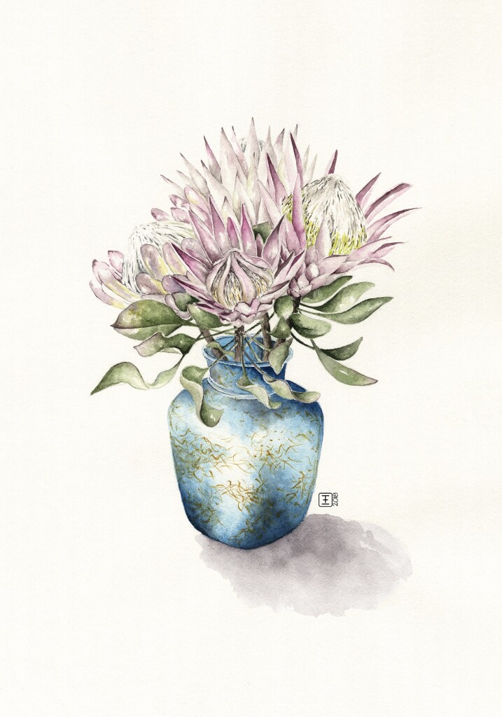 Priscillas Proteas Watercolour on Fabriano