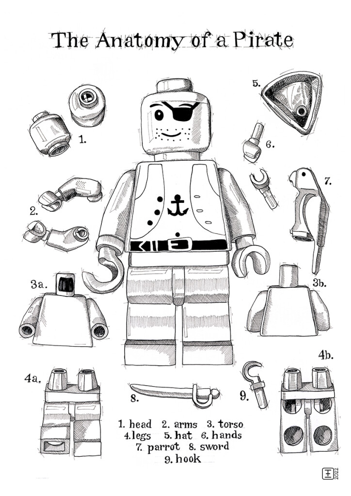 The Anatomy of a Pirate Pen and ink drawing on fabriano