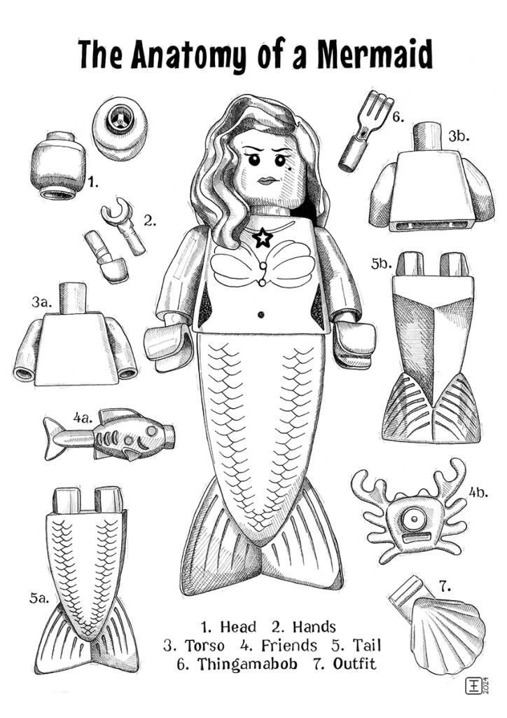 The Anatomy of a Mermaid Pen and ink drawing on fabriano